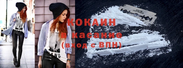 кокс Богородицк