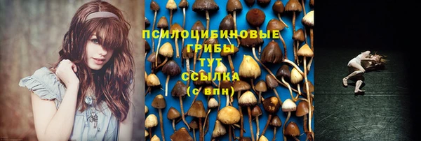 героин Бородино