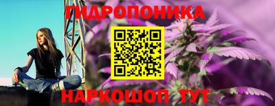 прущие грибы Пенза