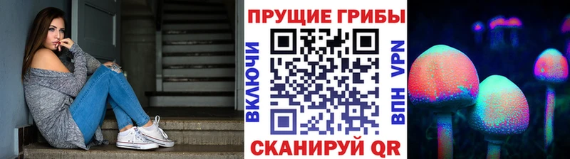 купить наркотик Улан-Удэ Галлюциногенные грибы Magic Shrooms