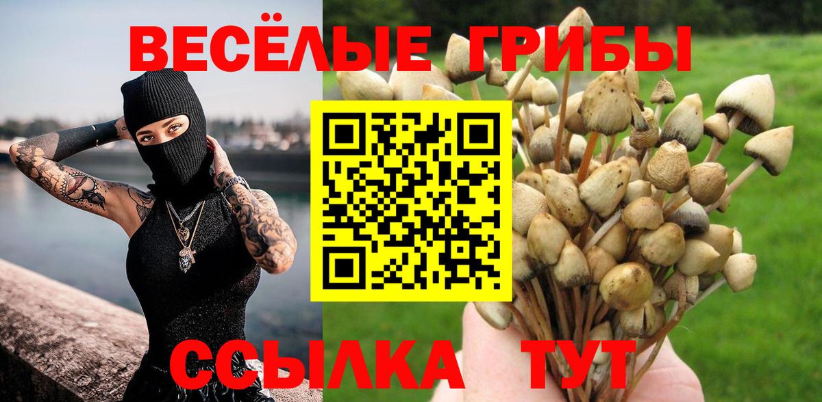 Псилоцибиновые грибы ЛСД  Вход с VPN  Улан-Удэ 